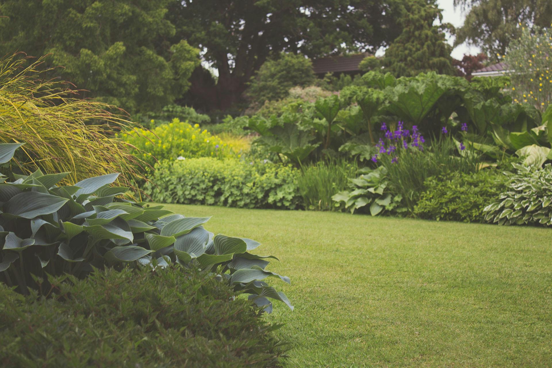 Lush layered garden with lawn, hostas, and flowering beds in East Tennessee