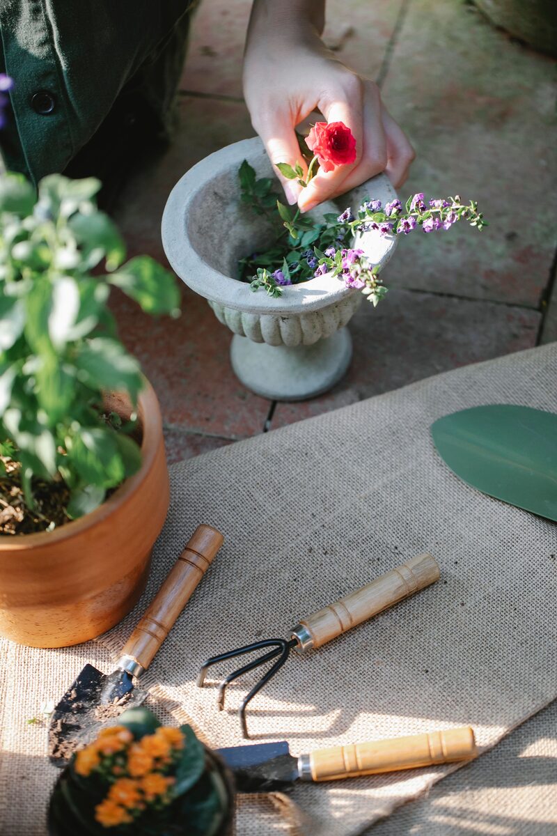 Planters & Seasonal Color