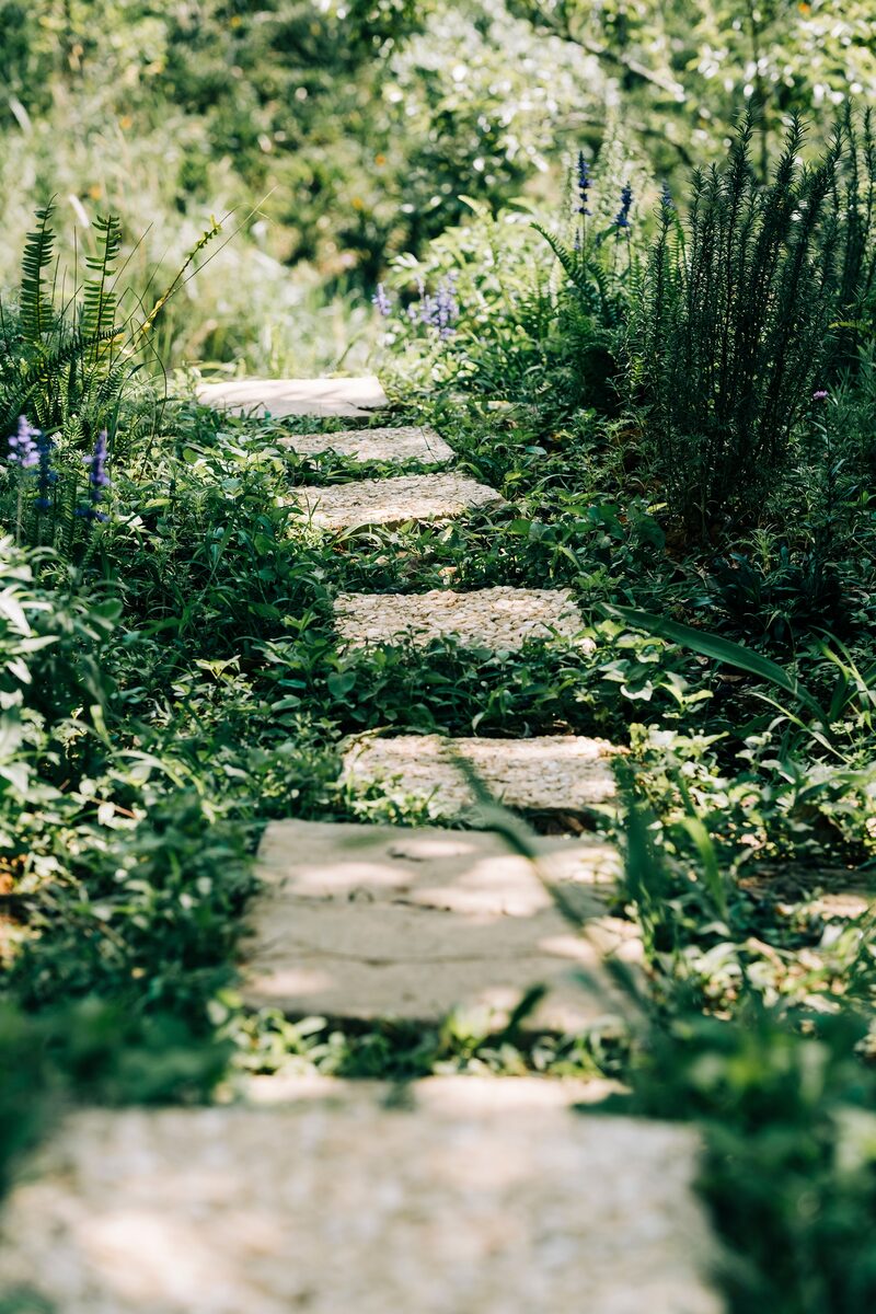 Cut-stone garden path with layered shade plantings
