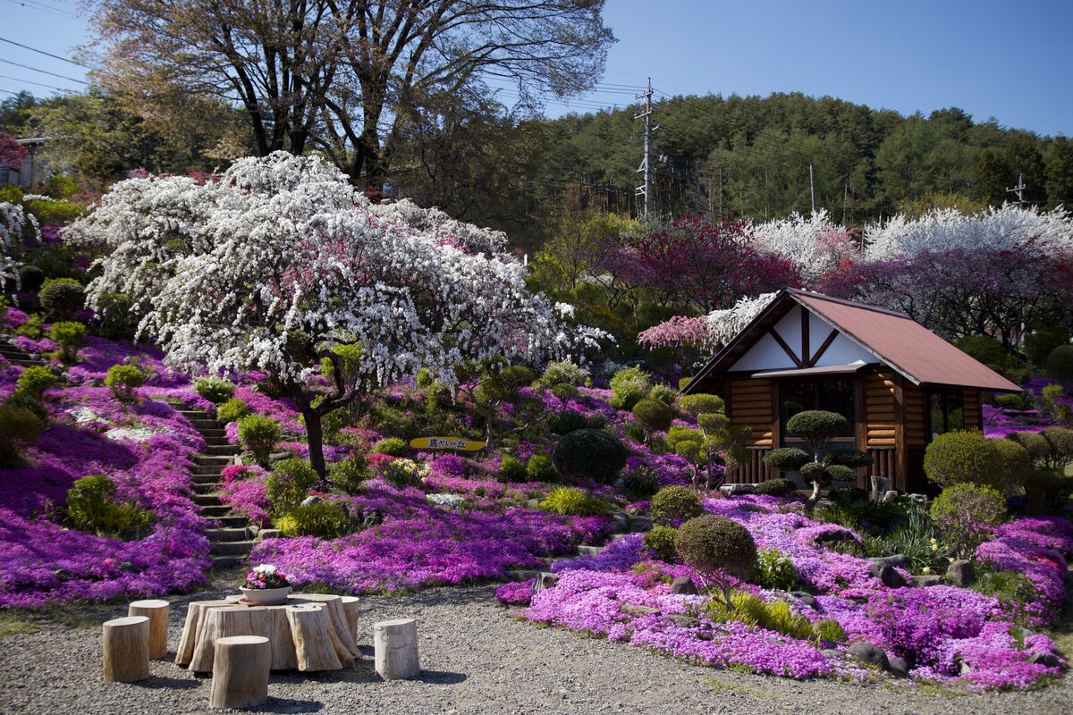 Hillside Spring Garden